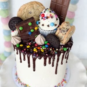 Party Animal Cake