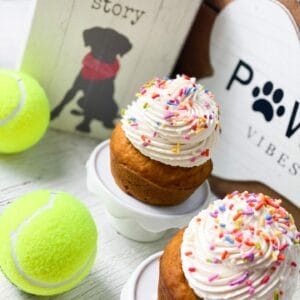 Doggie Desserts