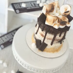 S'mores Campfire Cake