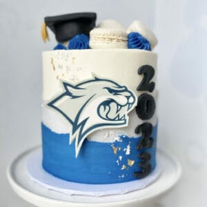 Class of 2025 Cake
