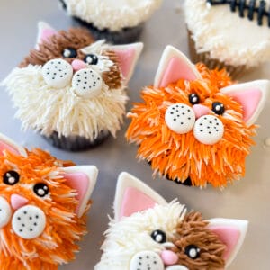 Purrfect Cupcake Set